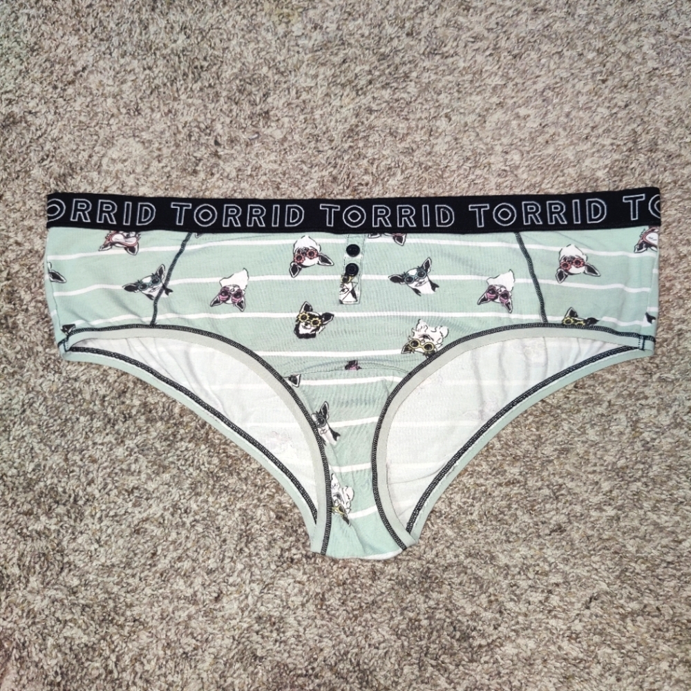 Torrid Dog With Sunglasses Print Cheeky Panty